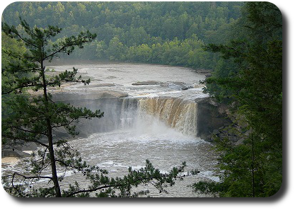 Cumberland Falls is sometimes called the "Niagara of the South" due to its impressive size. It also features the only active moonbow in the western hemisphere! 